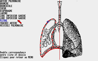 Bases de l'Anatomie (Les) atari screenshot